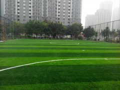 广东清远铁塔公园人造足球场